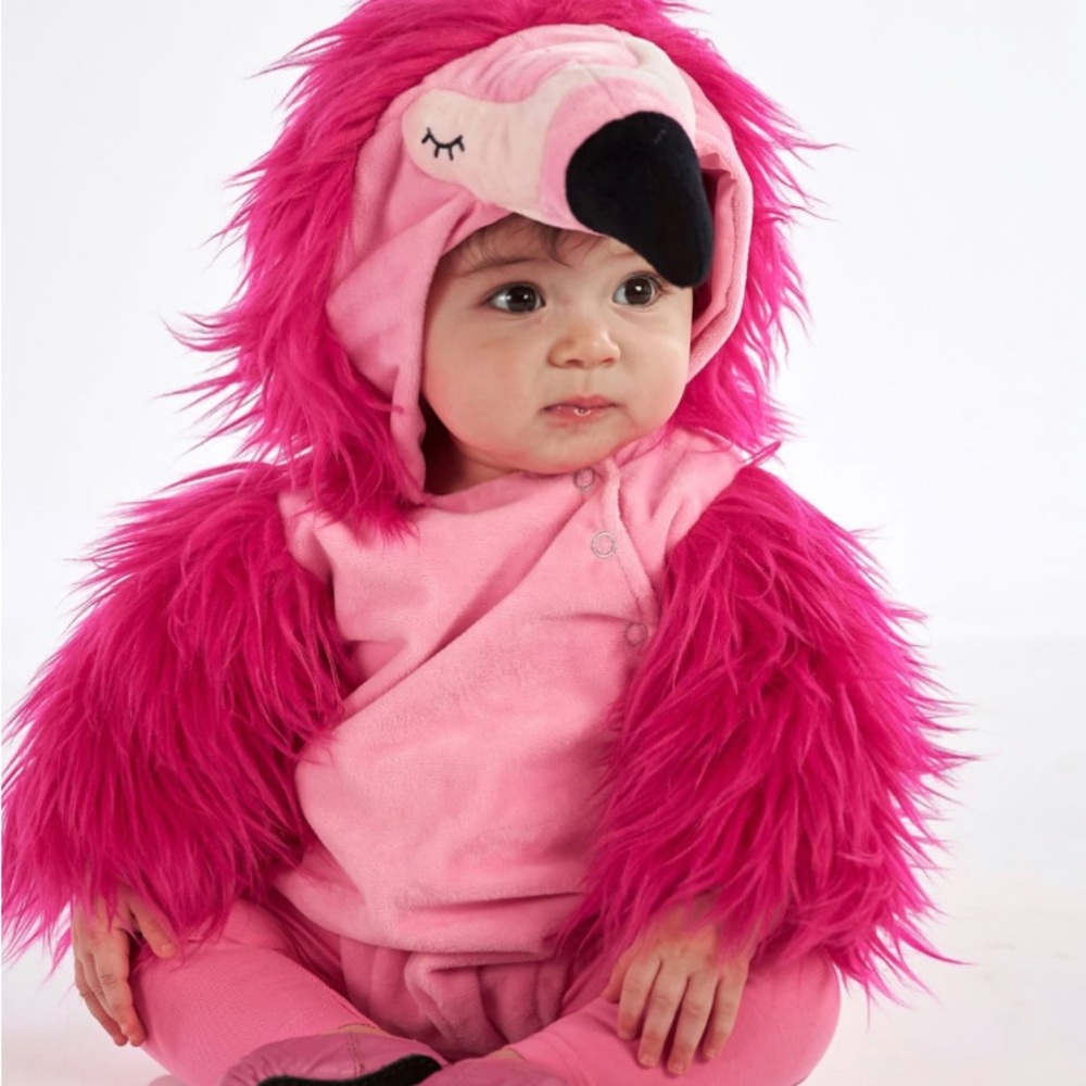 Baby Halloween Pottery Barn costume